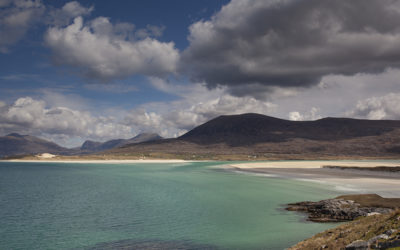 Harris 6jpg