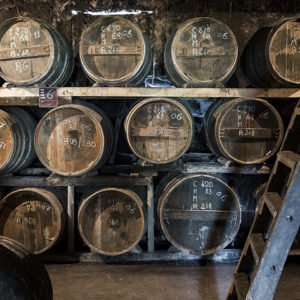 Cognac 1