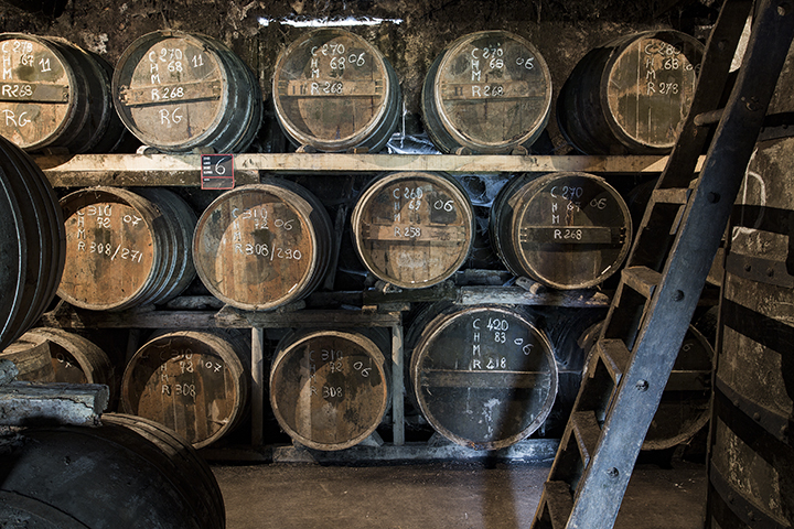 Cognac 1