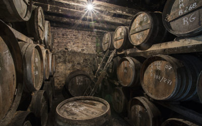 Cognac 2