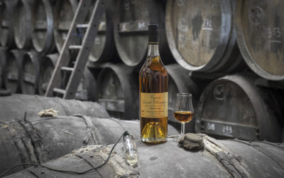 Cognac 4