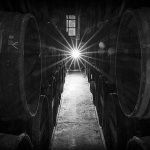 Cognac 6
