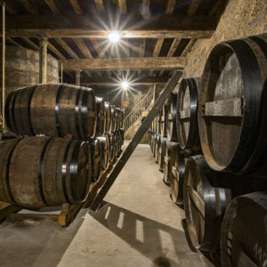 Cognac 8
