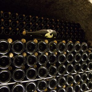 Cellar Highlights 3