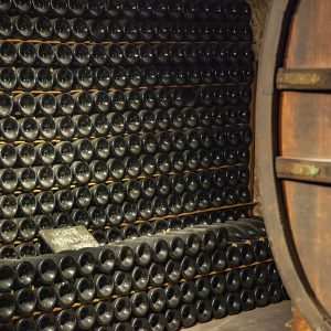 Champagne Cellar