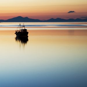 Golden Opportunity